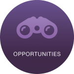 Round Icons 1 Opportunities